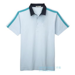 龙岗t恤纯棉圆领短袖 活动服广告衫印字工作服定做