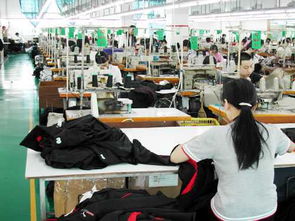 女装 惠州市惠城区欣泰制衣加工部